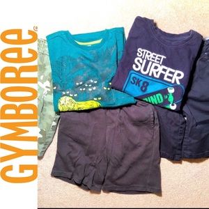 Gymboree Boys T-Shirt and Shorts Bundle